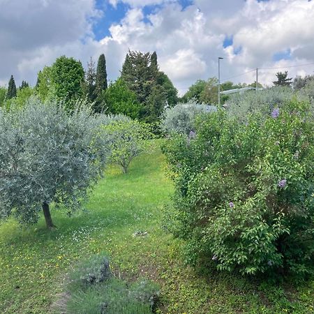 Happy Guest Apartments - Lake View And Pool Riva di Solto Esterno foto