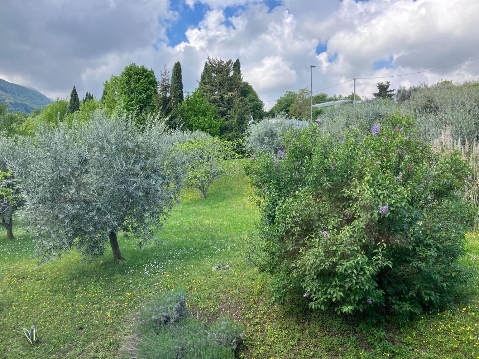 Happy Guest Apartments - Lake View And Pool Riva di Solto Esterno foto
